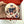 Photo Cookies