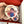 Photo Cookies
