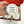 Corporate Cookies Gifts