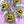 R U OK? Chocolate Chip Cookies